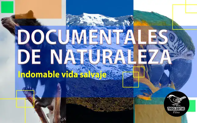 Documentales