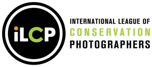ILCP