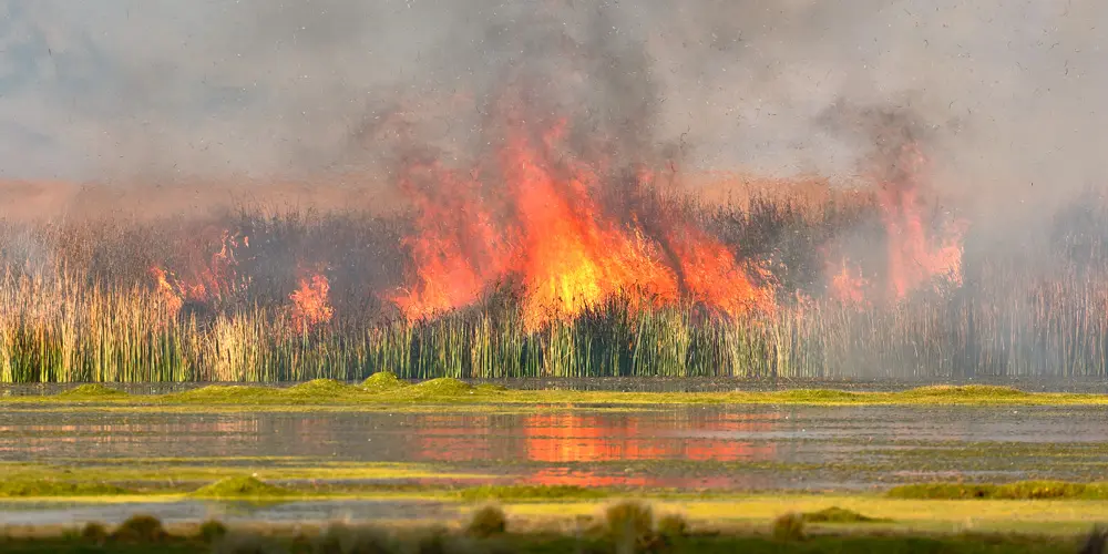 Incendio lago Junín