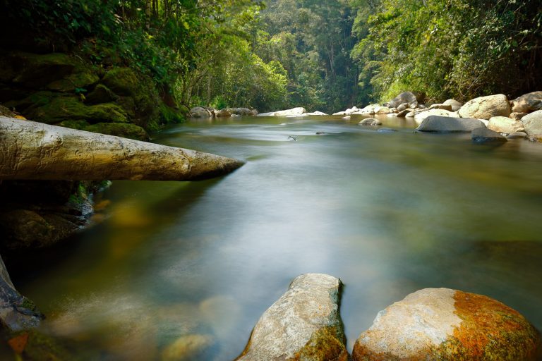 Río en San martin de pangoa