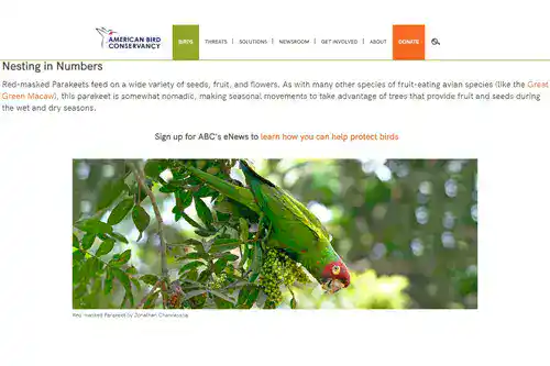 american-bird-conservancy