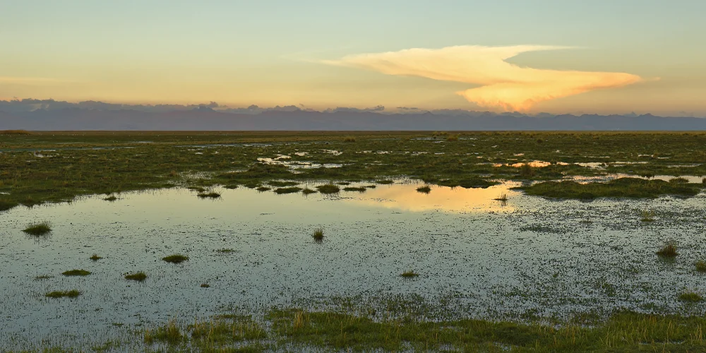 Atardecer a orillas del Lago Junín
