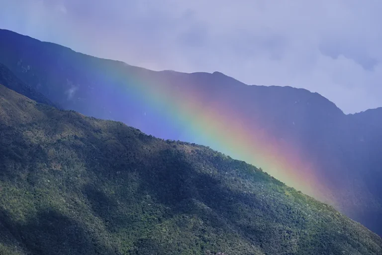 Arcoiris